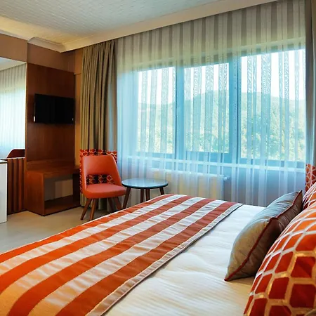 Hotel Vela &