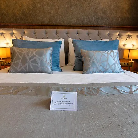 Hotel Vela Hotel&spa 4*